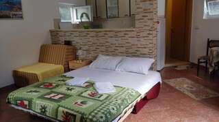 Апартаменты Apartments Abramovic Сутоморе Апартаменты-студио-1